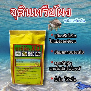 บาซิลลัส จุลินทรีย์ หัวเชื้อเข้มข้น สำหรับบ่อเลี้ยงสัตว์น้ำ บำบัดน้ำเสีย 1 กิโลกรัม