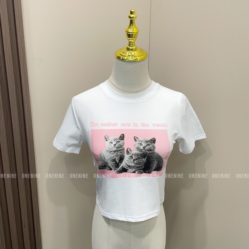 preorder-เสื้อครอปลายแมวแบบจอย-joy-red-velvet