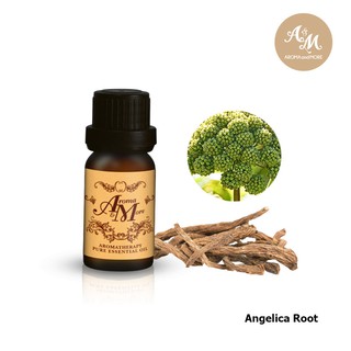 Aroma&amp;More  Angelica Root น้ำมันหอมระเหยแอลเจลิกา รูท 100%,อินเดีย / India  5/10/30ML