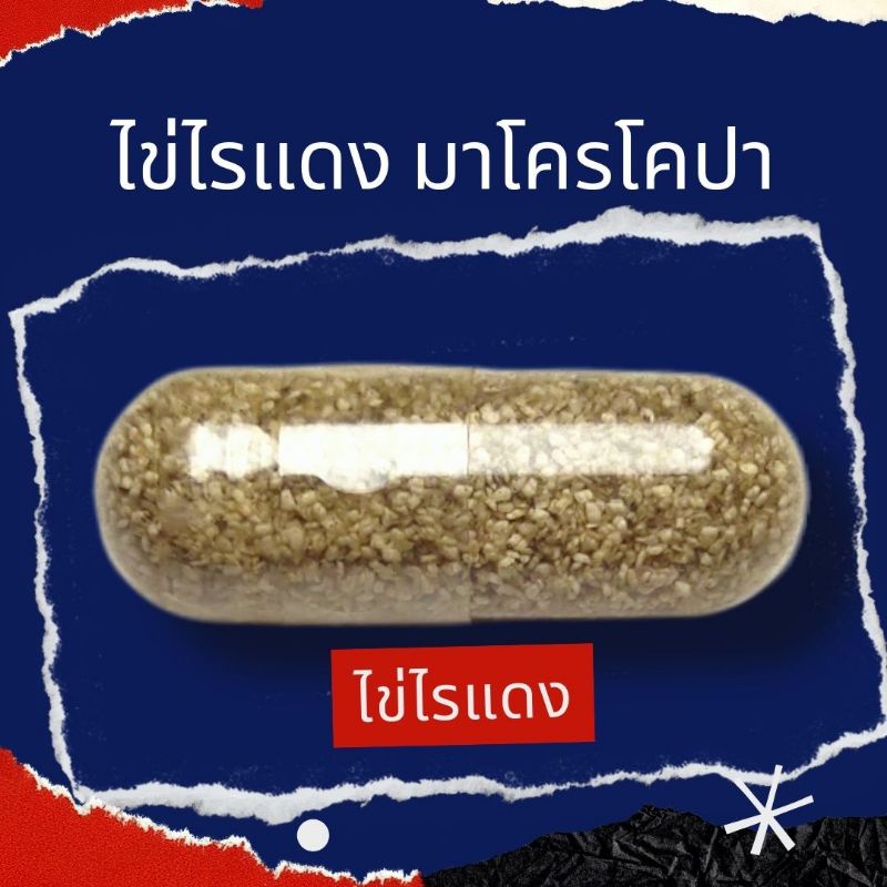 ชุดทำน้ำเขียว-ไข่ไรแดง