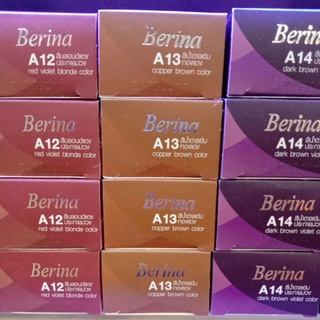 Berina ครีมย้อมผม ขนาด 60 มล.