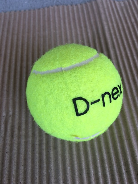 ลูกเทนนิส-เทนนิส-dnex-สำหรับซ้อม-ของแท้