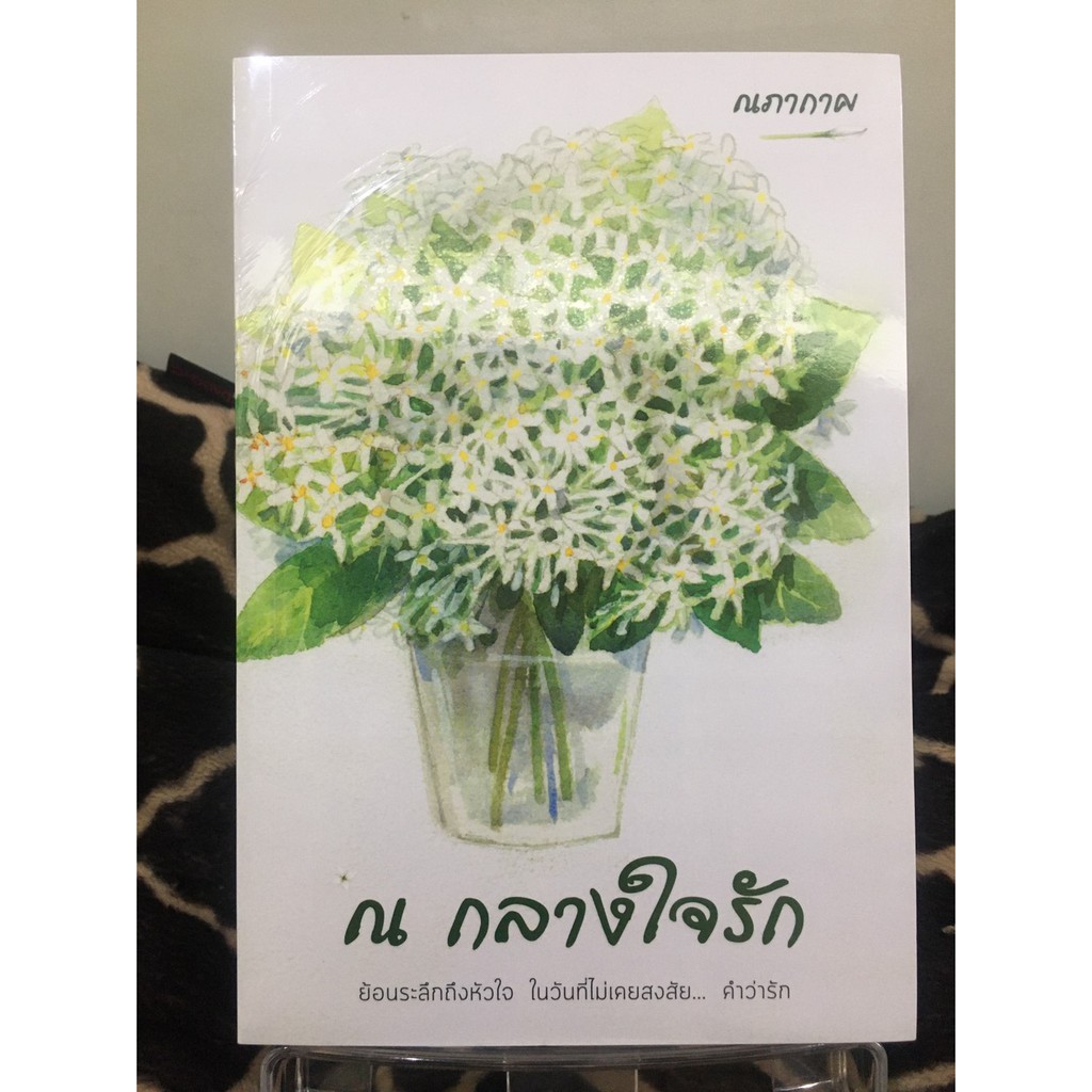 หนังสือนิยาย-ณ-กลางใจรัก-ณภากาศ-นกดวงจันทร์