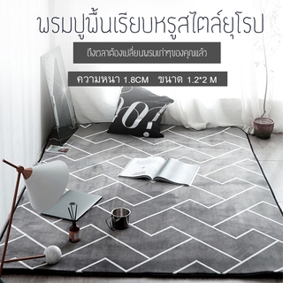 พรมขนนุ่ม พรมปูพื้น ผ้าปูพื้น ขนาด 120x200cm ความหนา 1.8 ซม