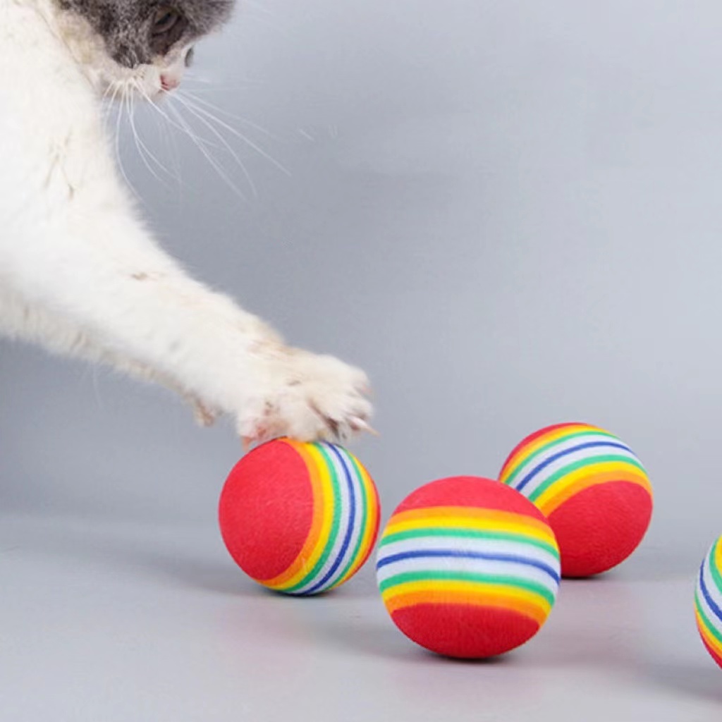 v008-baby-pet-ลูกบอลโฟม-สีรุ้ง-สำหรับสัตว์เลี้ยง-ฝึกสุนัข-แมว-คลายเคลียด