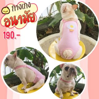 รูปภาพขนาดย่อของร้านไทย ️ ชุดอนามัยสุนัข ชุดเอี๊ยมใส่เวลาเป็นฮีท หรือกันการผสมพันธุ์ กางเกงสุนัขลองเช็คราคา