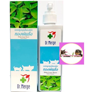 ภาพหน้าปกสินค้า+ล็อตใหม่+ Dr.Merge แชมพูทองพันชั่ง (250 ml) กำจัดเชื้อรา ยีสต์ แก้ขนร่วง สำหรับสุนัข-แมว ซึ่งคุณอาจชอบสินค้านี้