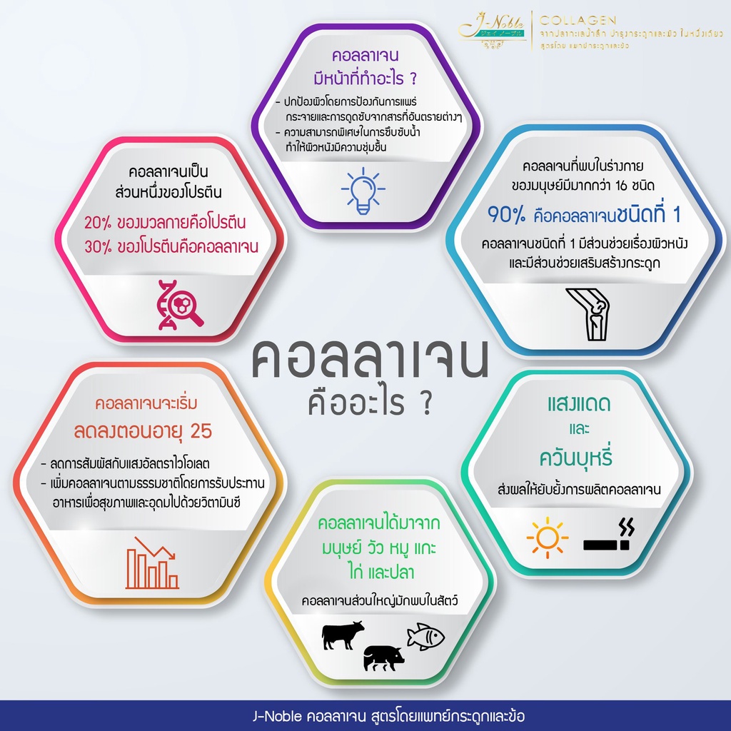 ภาพสินค้าJ-Noble Jnoble Dipeptide Collagen เจโนเบิล ไดเปปไทด์ คอลลาเจน Type1 Type 2 *ส่งเร็วใน 24 ชม.** จากร้าน nnshop651 บน Shopee ภาพที่ 2