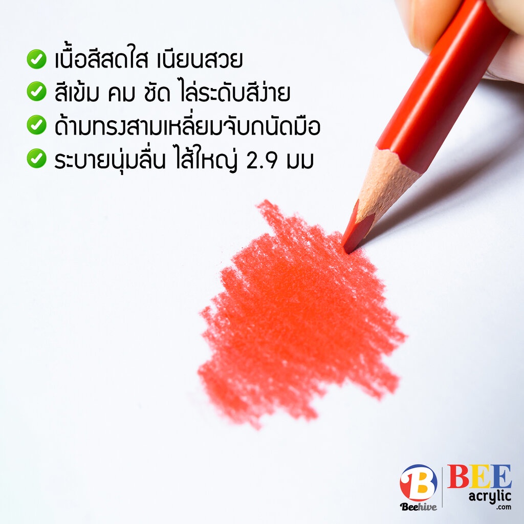 สีไม้-ดินสอสี-beehive-สีสดเข้ม-เนื้อนุ่ม-ระบายง่าย