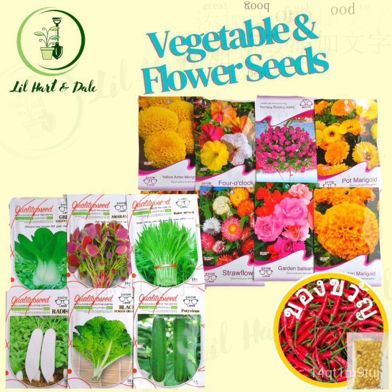 เมล็ดพืชเมล็ดผลไม้เมล็ดผักเมล็ดดอกไม้กุหลาบ-พาสต้า-สวน-กางเกง-ดอกทานตะวัน-มะละกอ-เมล็ด-หมวก-แม่และเด็ก-เมล็ด-เมล็ด-ru22