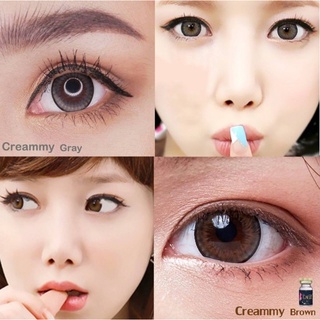 creamy / dreamy Alice gray and brown sweetysoft