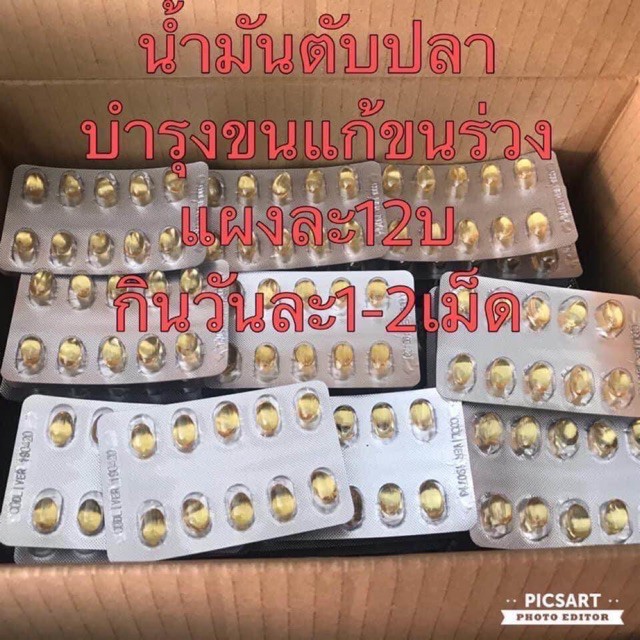 ราคาและรีวิวน้ำมันตับปลา สำหรับสัตว์เลี้ยง ช่วยให้ขนสวย ขนแน่นไม่หลุดร่วง สุขภาพดี กินง่าย ไม่มีกลิ่น