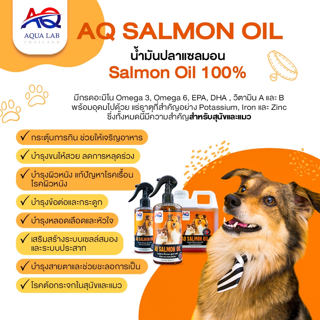 บำรุงขนสวย-แข็งแรง-สุขภาพดี-ด้วย-aq-salmon-น้ำมันปลาแซลมอนจากนอร์เวย์-พร้อมส่ง