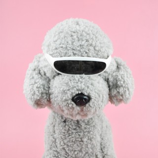 ภาพขนาดย่อของภาพหน้าปกสินค้าแว่นตาสัตว์เลี้ยง แว่นตามหมาเล็ก แว่นตาแมว จากร้าน chawy.petshop บน Shopee ภาพที่ 2