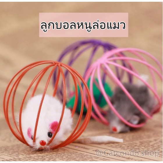 ภาพหน้าปกสินค้า️ของเล่นแมว ลูกบอลแมว ลูกบอลกัด หนูล่อแมว ลูกบอลหนู บอลหนู ️ จากร้าน ratimapeem บน Shopee