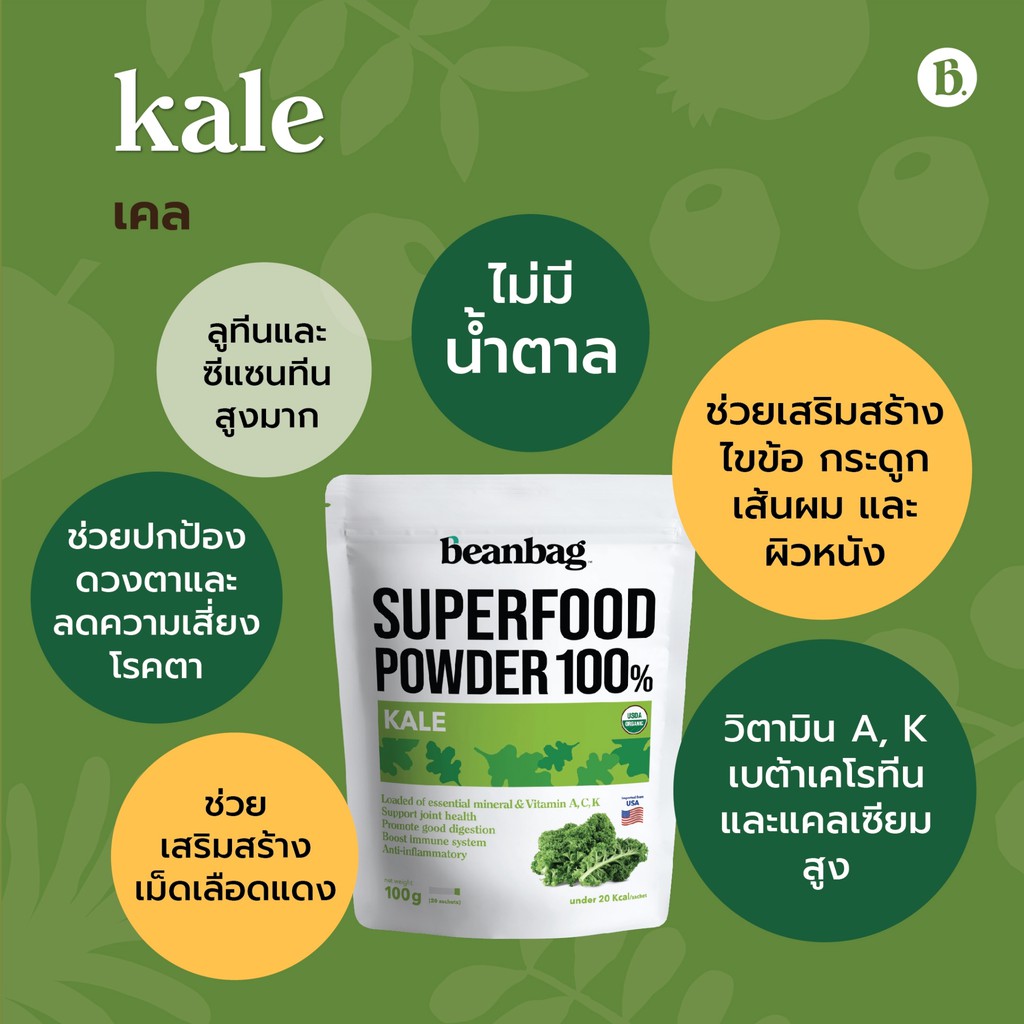 organic-kale-powder-ผักเคล-beanbag-superfood