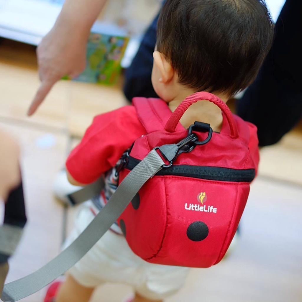 ภาพประกอบคำอธิบาย LittleLife เป้จูงเด็ก ลายเต่าทอง (Ladybird Toddler Backpack with rein) สำหรับเด็ก 1-3 ปี