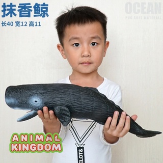 Animal Kingdom - โมเดลสัตว์ ปลาวาฬสเปิร์ม ขนาด 41.00 CM แบบนิ่ม (จากสงขลา)