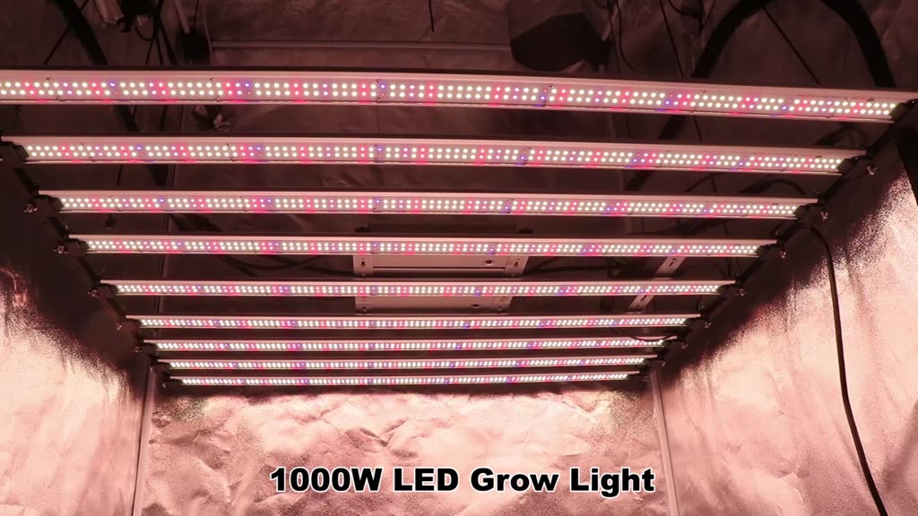 1000w-meanwell-driver-strip-ไฟปลูก-การตั้งค่าเวลา-samsunglm301h-evo-led-grow-light-ใช้ในเรือนกระจกผักพืช-ฯลฯ