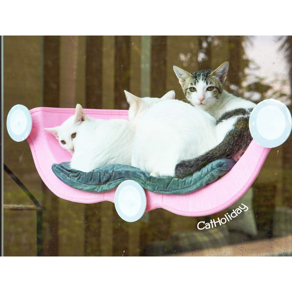 catholiday-ที่นอนแมวติดกระจกแบบโค้ง-ที่นอนติดรถยนต์