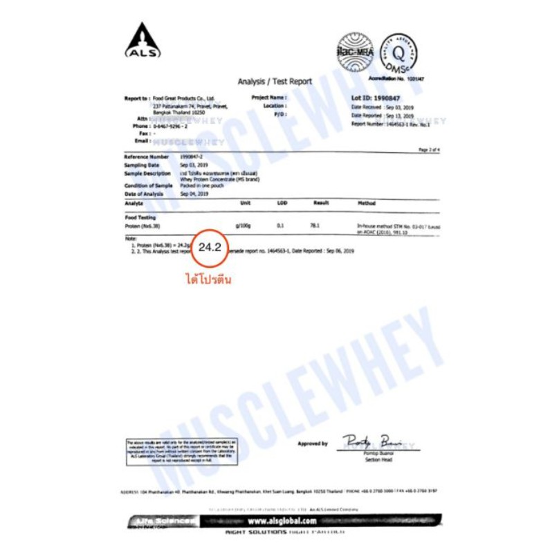 ภาพหน้าปกสินค้าแท้100% มี อย. MS Whey เวย์โปรตีน 100% WHEY PROTEIN 2LBS (907 g) เพิ่มกล้ามเนื้อลดไขมัน จากร้าน superwheyshop บน Shopee