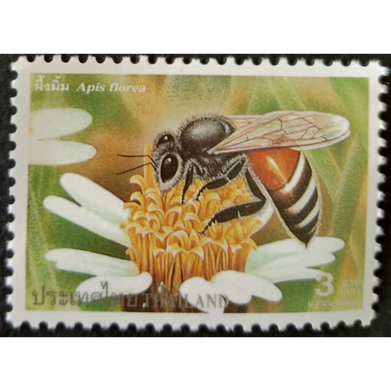 ภาพสินค้าปี 2543 ชุดผึ้งชนิดต่างๆ จากร้าน sazinoo บน Shopee ภาพที่ 3