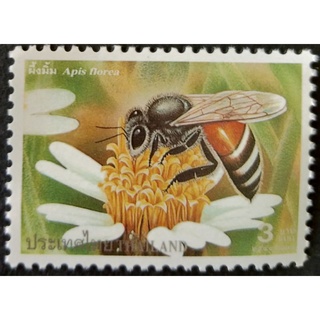 ภาพขนาดย่อของภาพหน้าปกสินค้าปี 2543 ชุดผึ้งชนิดต่างๆ จากร้าน sazinoo บน Shopee ภาพที่ 3