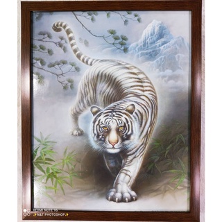 กรอบรูปกระจกพร้อมภาพมงคล เสริมฮวงจุ้ย รูปเสือขาว ขนาดภาพรวมกรอบ 17×22"นิ้ว