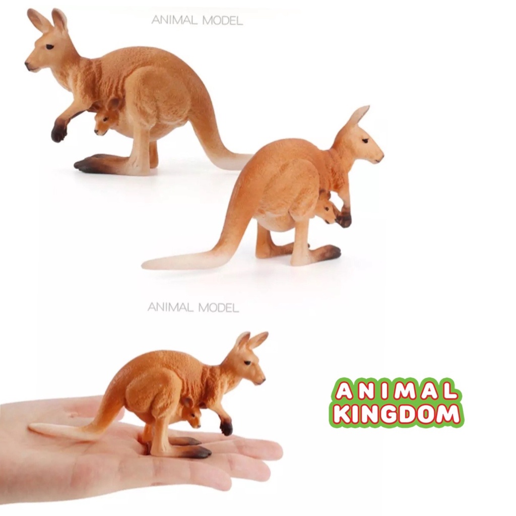 animal-kingdom-โมเดลสัตว์-จิงโจ้-พ่อแม่ลูก-ชุด-4-ตัว-จากหาดใหญ่