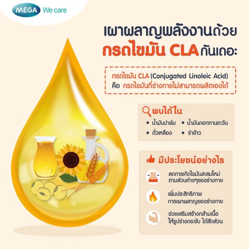 mega-we-care-cla-advance-บรรจุ-30-แคปซูล-ช่วยยับยั้งการสะสมไขมันใหม่ที่เข้าสู่ร่างกาย-เร่งเผาผลาญไขมันเก่า