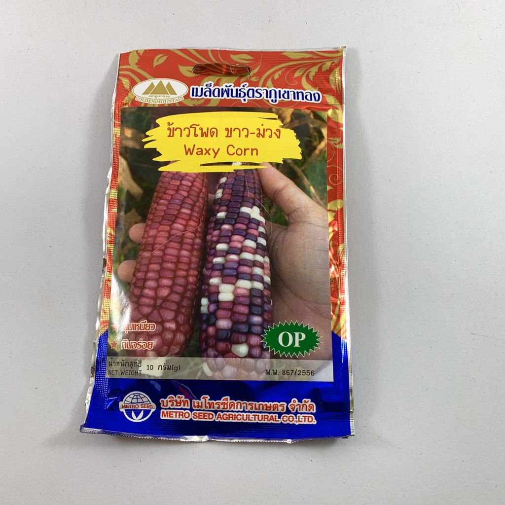 เมล็ดพันธุ์-ข้าวโพด-ขาว-ม่วง-waxy-corn