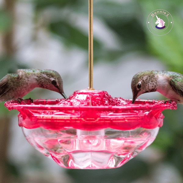 hummingbird-feeder-เครื่องให้อาหารนกพลาสติกกันน้ําสําหรับทํากิจกรรมข้างนอก