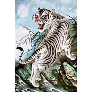 โปสเตอร์ รูปวาด ภูกันจีน เสือ ภาพมงคล เสริมฮวงจุ้ย Tiger 水墨 POSTER 23”x34” นิ้ว Chinese Brush Painting Ink Wash Art V4