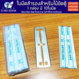 ใบมีด Refil สำหรับเปลี่ยนไม้ขัดตะใคร่ 1 ชุดมี 10 ใบ ใบมีดสำรอง ไม้ขูดตะไคร่ ใบสำรอง ใบขัดกระจกตู้ปลา ไม่ทำให้กระจกเป็นรอ