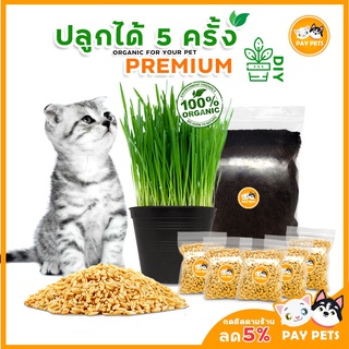 สินค้า ปลูกได้ 5 ครั้ง ชุดปลูกต้นอ่อนข้าวสาลี เมล็ดหญ้าแมว หญ้าหมา หญ้าแมว หญ้ากระต่าย หญ้ากระรอก ชุดพร้อมปลูกหญ้าแมว