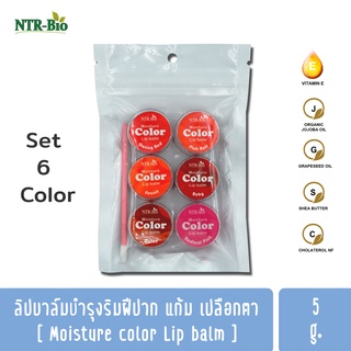 Moisture Color Lip Balm Set 6 Color