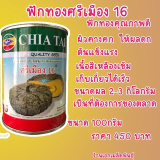 ฟักทองลูกผสมศรีเมือง16