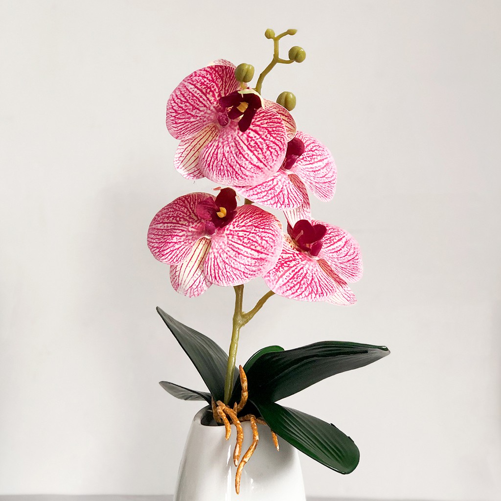 ภาพหน้าปกสินค้าดอกไม้ประดิษฐ์ Phalaenopsis High-End สําหรับตกแต่งบ้าน จากร้าน moshee.th บน Shopee