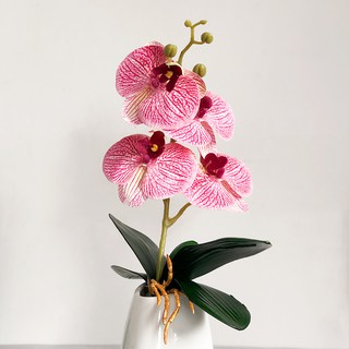ภาพขนาดย่อของภาพหน้าปกสินค้าดอกไม้ประดิษฐ์ Phalaenopsis High-End สําหรับตกแต่งบ้าน จากร้าน moshee.th บน Shopee