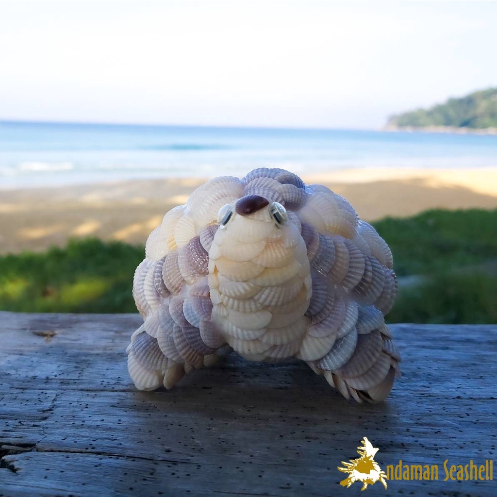 andaman-seashell-ตุ๊กตาปูนปั้นติดเปลือกหอย-เต่าติดหอยแครง