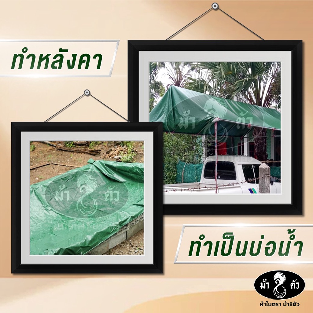 ม้า8ตัว-ผ้าใบกันน้า-pvc-4x8-แบบหนา-0-45-มิล-ผ้าใบกันฝน-ผ้าใบกันแดด-ผ้าใบกันสาด-ผ้าใบคลุมกระบะ-ผ้าใบคลุมรถ-ผ้าใบคูนิล่อน