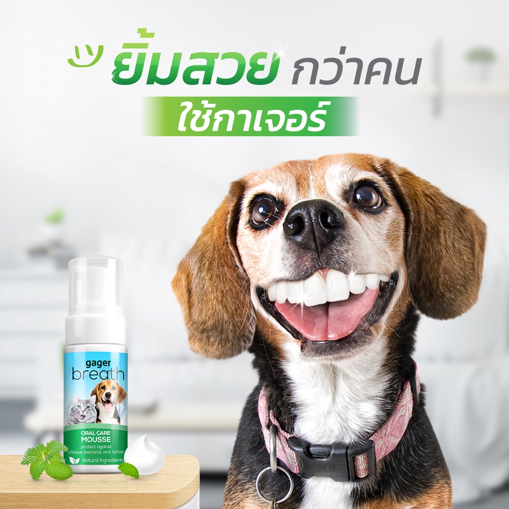 รูปภาพของGager (50 ml.) โฟมดับกลิ่นปากสุนัขและแมว ลดคราบพลัค แบคทีเรีย และหินปูนในช่องปาก กินได้ สกัดจากสมุนไพรลองเช็คราคา