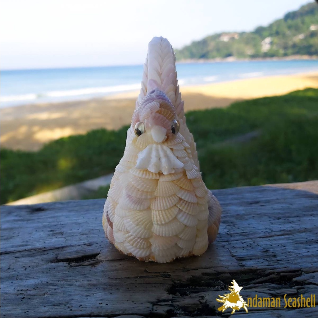 andaman-seashell-ตุ๊กตาปูนปั้นติดเปลือกหอย-ไก่ติดหอยแครง