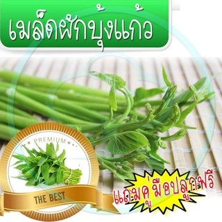 🔥ลด50% ใส่โค้ด INC3LE7Z🔥 เมล็ดพันธุ์ผักบุ้งแก้ว 1200 เมล็ด พร้อมคู่มือปลูก
