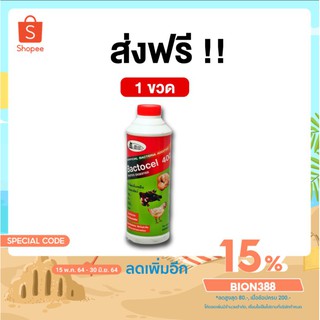 BACTOCEL 4001 จุลินทรีย์สำหรับคอกสัตว์ [โค้ด BION388 ลด 15%] แบคโตเซล(300 Ml)กลิ่นสัตว์ คอกสัตว์ น้ำยาดับกลิ่นเหม็นสัตว์