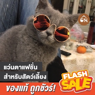 🔥ถูกสุด! พร้อมส่ง🔥 แว่นตาแฟชั่น แว่นตา สำหรับสัตว์ (แบบคละสี）