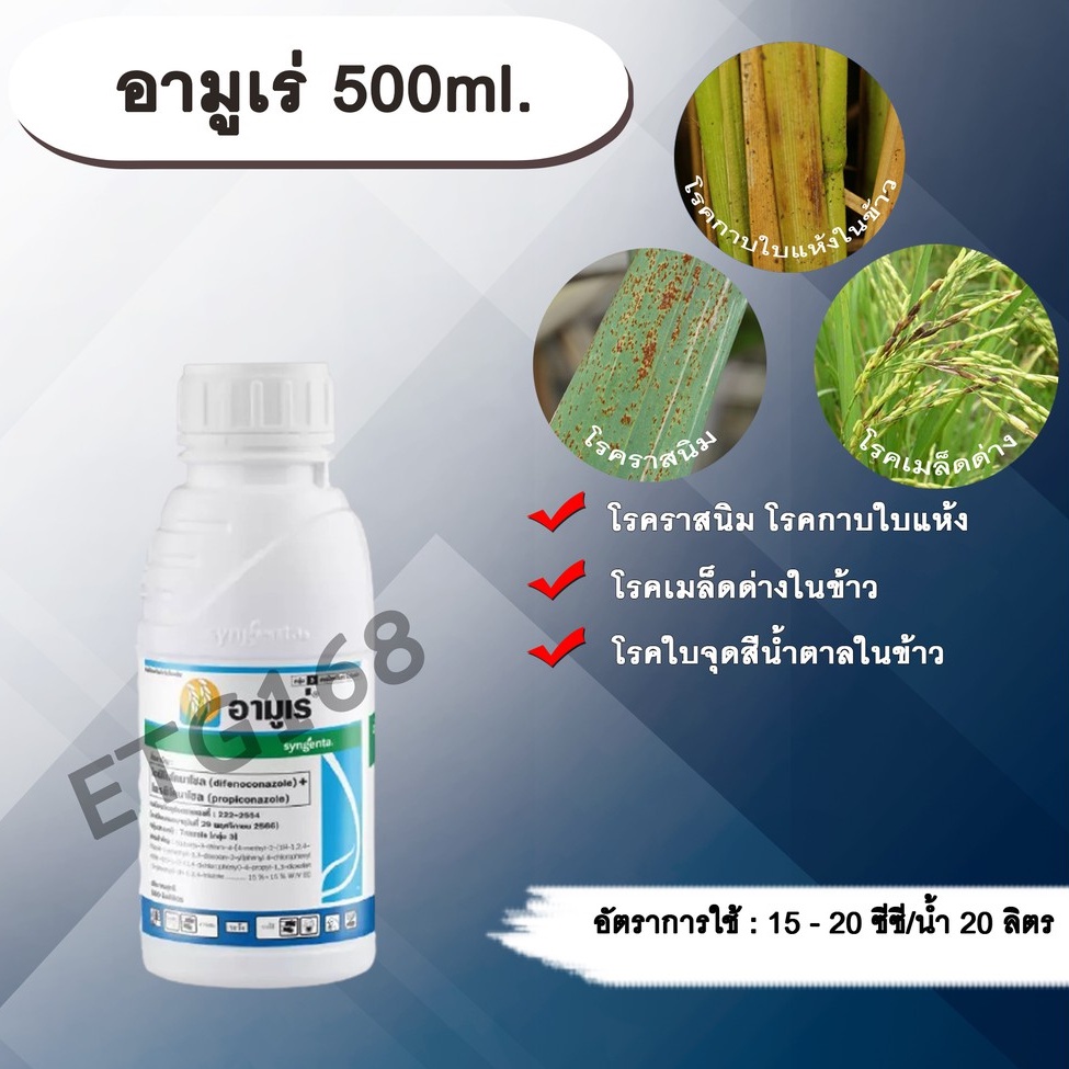 อามูเร่-500ml-ไดฟีโนโคนาโซล-โพรพิโคนาโซล-สารกำจัดเชื้อรา-โรคเมล็ดด่าง-โรคราสนิม-โรคใบจุดสีน้ำตาล-โรคกาบใบแห้ง