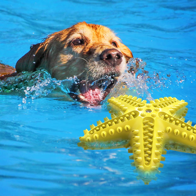 ของเล่นสุนัข-ของเล่นรูปปลาดาว-ทำจากยางเทอโมพลาสติก-เหนียวทนสุดๆ-สินค้าพร้อมส่ง