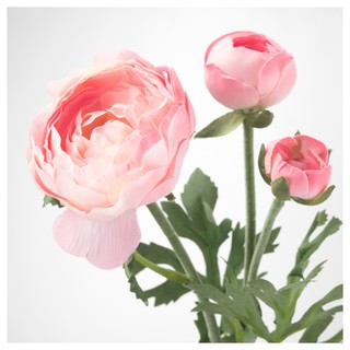 ดอกไม้ประดิษฐ์, ดอก Ranunculus, ชมพูSMYCKA สมึคก้า
