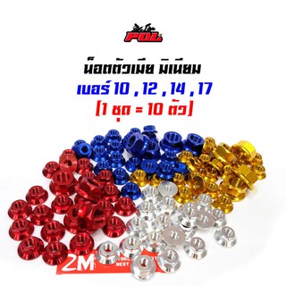 น็อตตัวเมีย มิเนียม 4 สี 4 เบอร์ มี เบอร์ 10,12,14,17 และ สี เลส,ทอง,แดง,น้ำเงิน 1 ชุดมี 10 ตัว